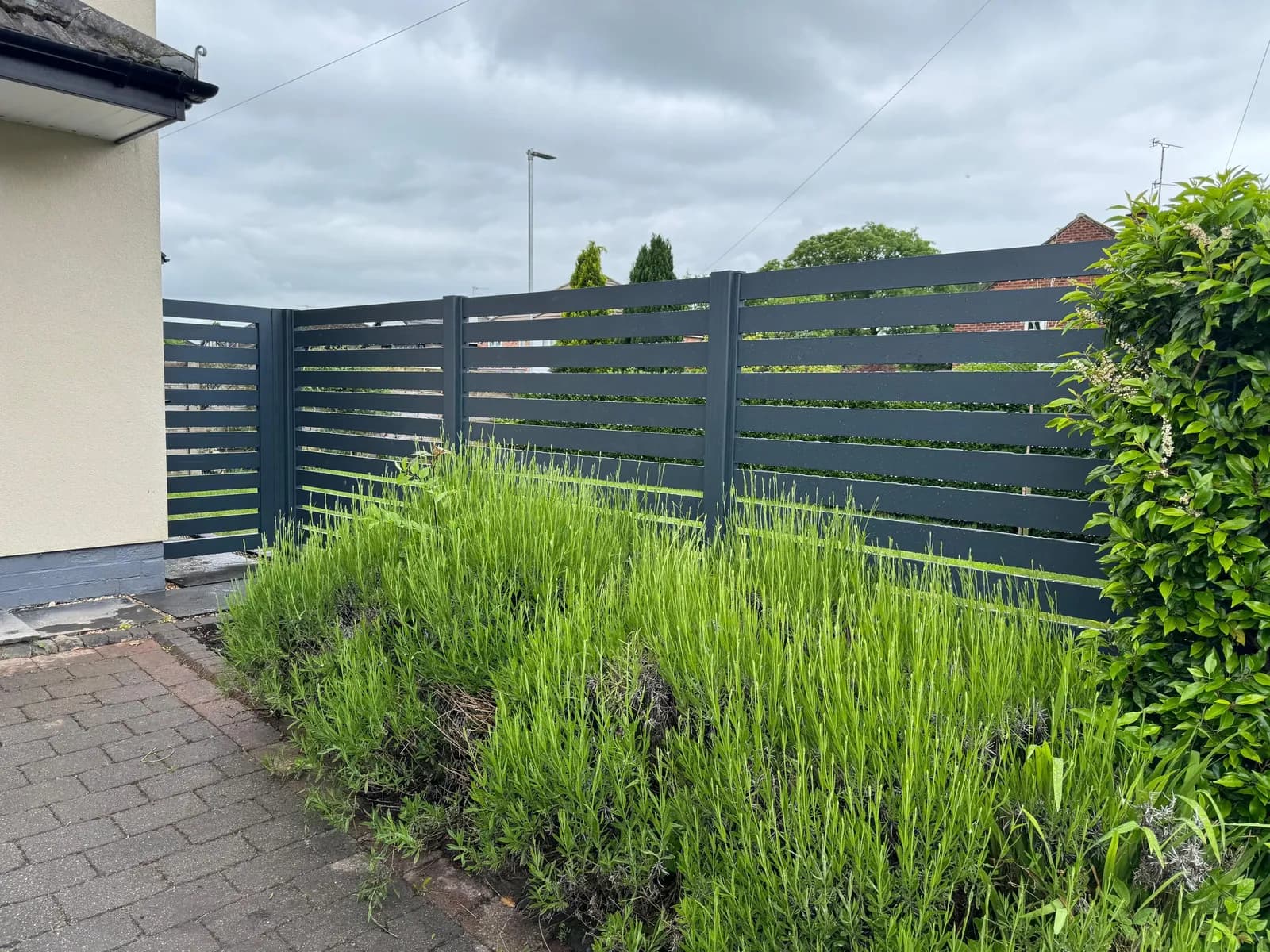 Corner run of anthracite slatted aluminium fencing behind a lavender bed