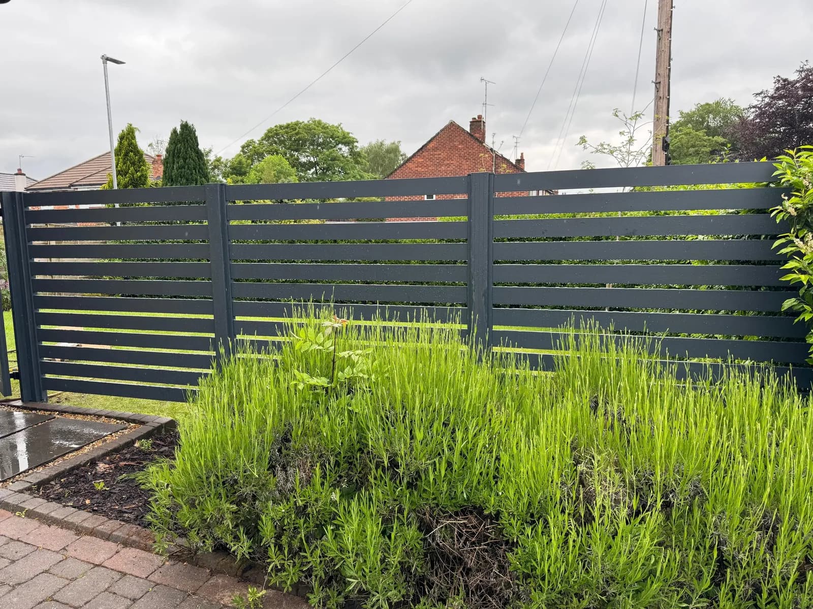 Anthracite slatted aluminium fence behind a lavender border beside a block-paved path