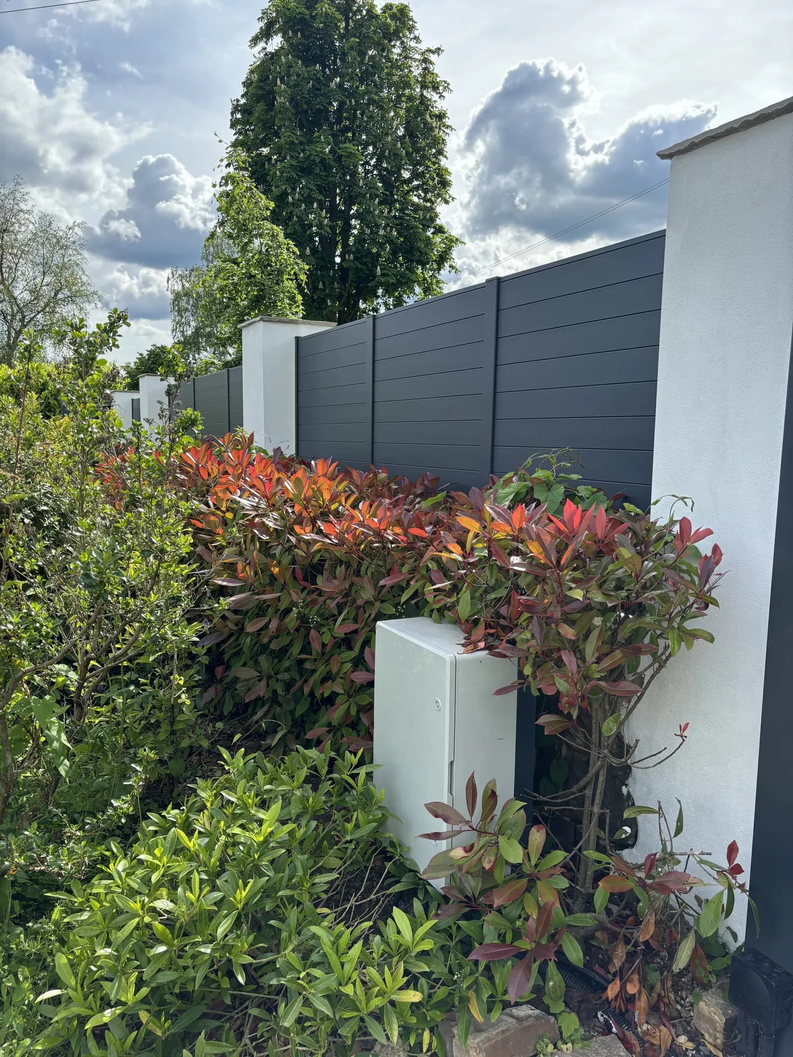 Anthracite aluminium privacy fence behind red-tipped photinia shrubs